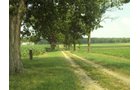 Property photo 7 - 160 Acres Offered in 6 Tracts